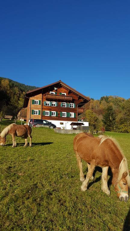 Haus Silke Apartment Silbertal